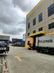 Asia Pacific Breweries (D22), Factory #508604651